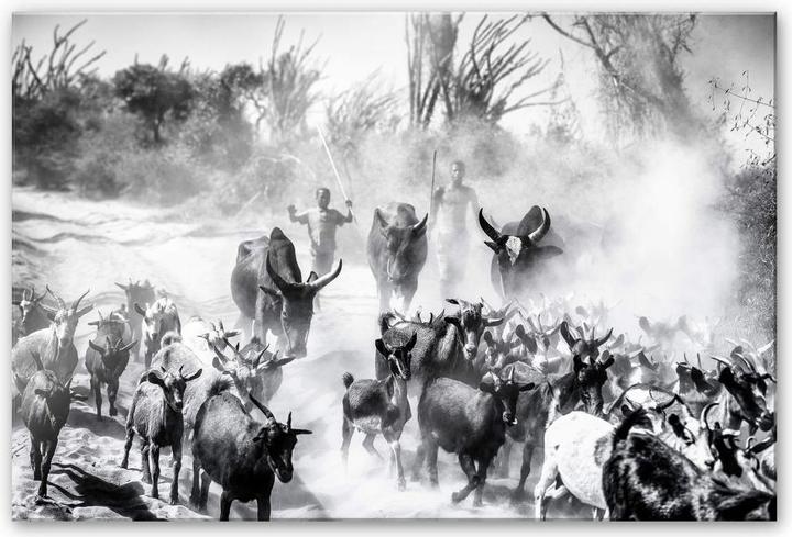Produktbild Trenddeko Ziegenherde in Afrika (60 x 40 cm)