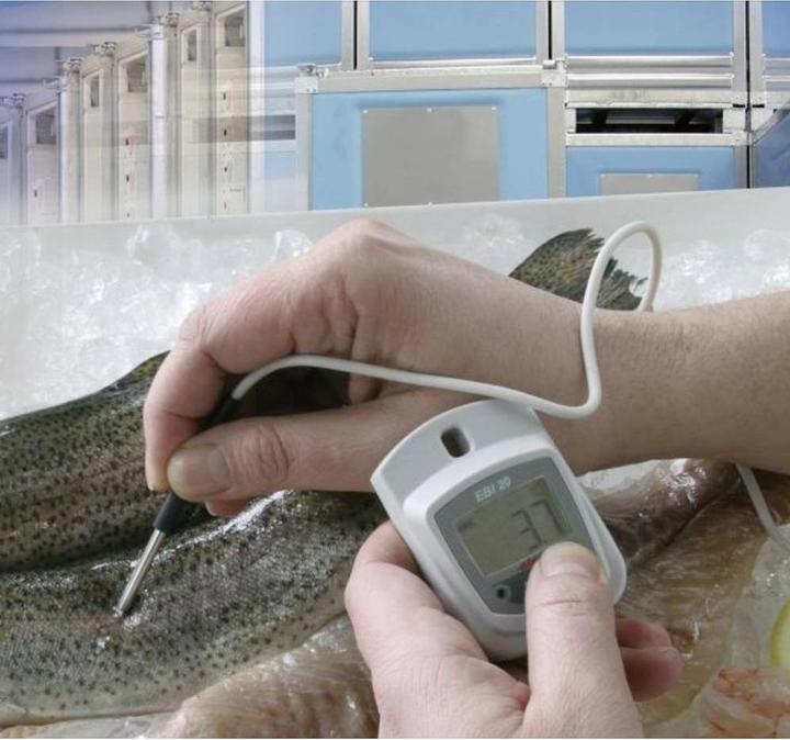 Produktbild Ebro EBI 20-TE1 Temperatur-Datenlog (Messgerätkoffer)