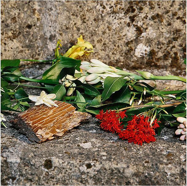 Produktbild Gucci Profumo di Fiori Eau de Parfum (Eau de Parfum, 231 ml)