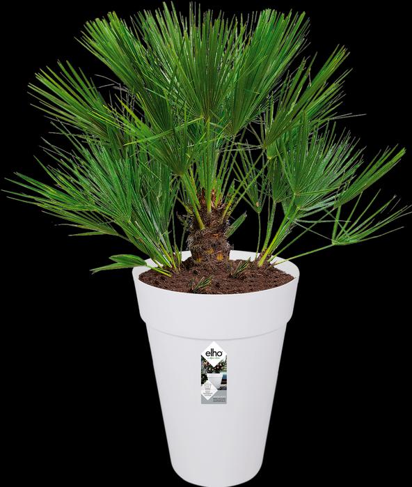 Actual product image Elho Loft Urban (33.50 cm)