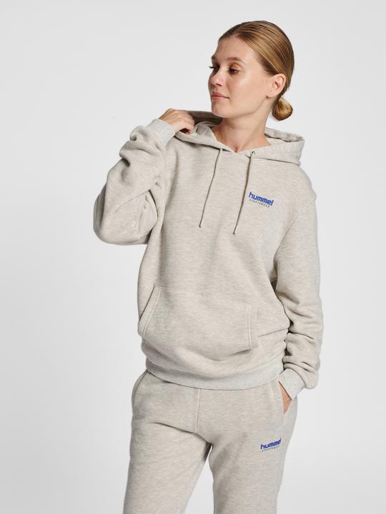 Produktbild hummel Lgc Austin Hoodie (M)