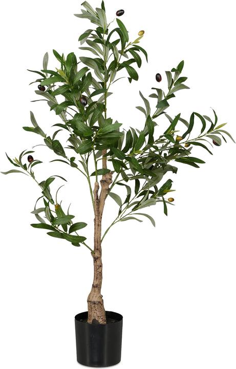 Productafbeelding Relaxdays Olivenbaum (90 cm)