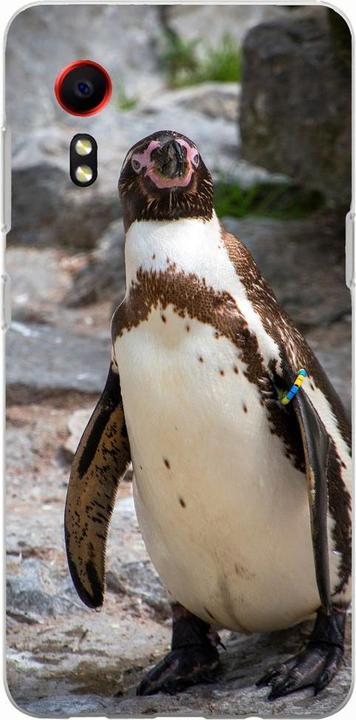 Pinguin