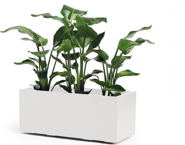 Actual product image Euro3plast Kebe (39.50 cm)