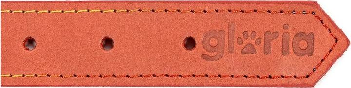 Actual product image Gloria Dog collar Oasis red 65 cm (65 x 3 cm) (3 cm)