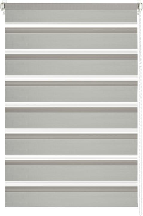 Grigio chiaro