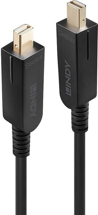 Lindy Mini DisplayPort/DisplayPort - Mini DisplayPort/DisplayPort (10 m, DisplayPort)