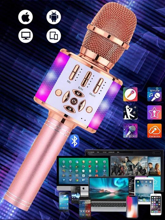 Actual product image Bonaok Karaoke microphone