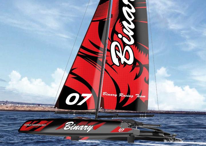Actual product image Joysway Binary V2 Catamaran