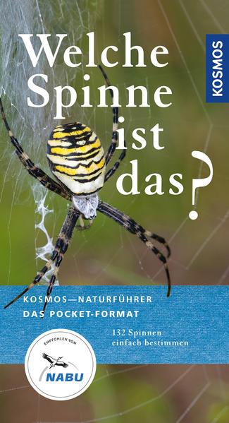 Produktbild Kosmos Welche Spinne ist das? (Deutsch, Martin Baehr)