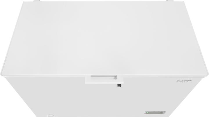 Immagine prodotto Exquisit GT320-HE-040E (Struttura autonoma, 308 l)