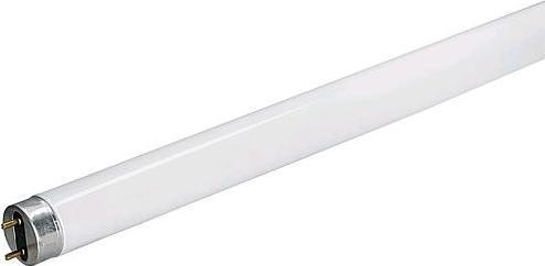 Image du produit Osram Lampe fluorescente (G13, 36 W, 3350 lm, 1 x, A)