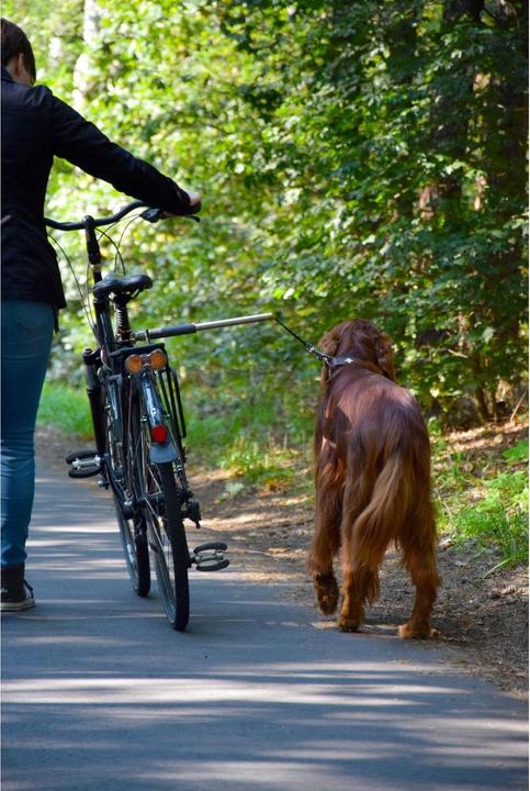 Immagine prodotto Dobar In più (Taglia unica, Cane, Passeggiare, Moto)