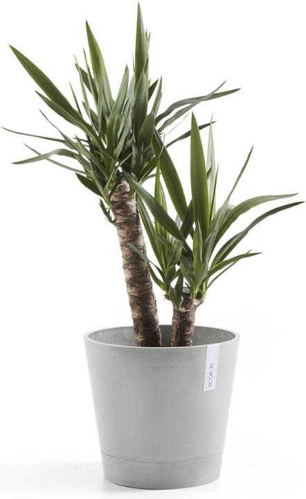 Produktbild Ecopots Venice (30 cm)