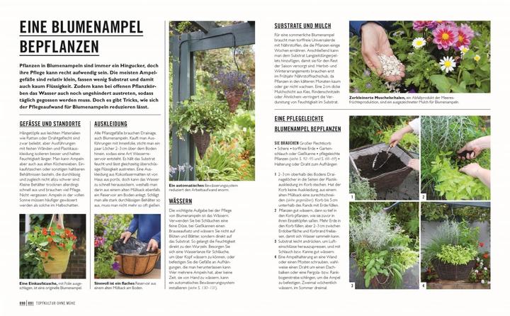 Produktbild Grünes Gartenwissen. Gärtnern mit wenig Aufwand (Deutsch, Zia Allaway, DK Verlag, Reinhard Ferstl, 2024)