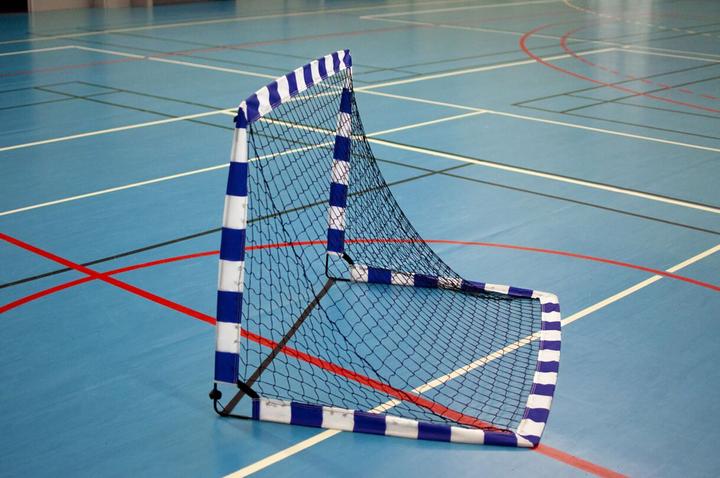 Actual product image Sport-Thieme Pop up handball goals