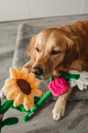 Image du produit Beeztees Jouet en peluche Tournesol (Jouet en peluche chien)