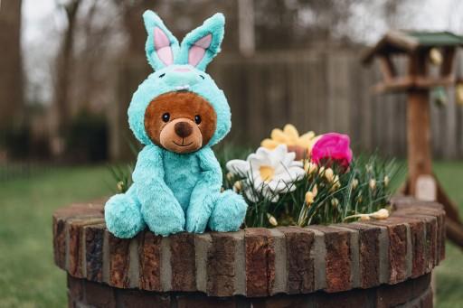 Image du produit Beeztees Jouet en peluche Tournesol (Jouet en peluche chien)