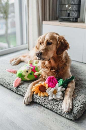 Image du produit Beeztees Jouet en peluche Tournesol (Jouet en peluche chien)