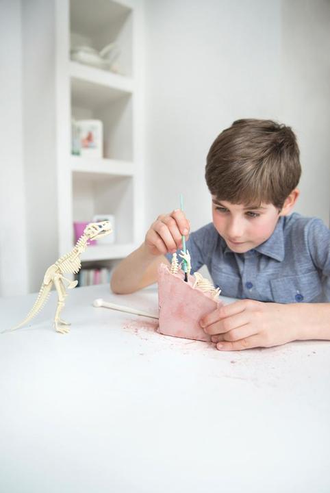 Actual product image 4M Dig a Stegosaurus Skeleton