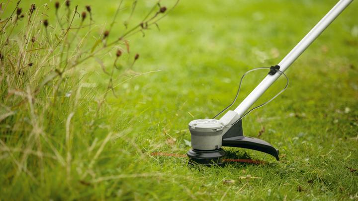 Image du produit Bosch Home & Garden AdvancedBrushCut 36V-23-750 (Fils coupe-herbe)