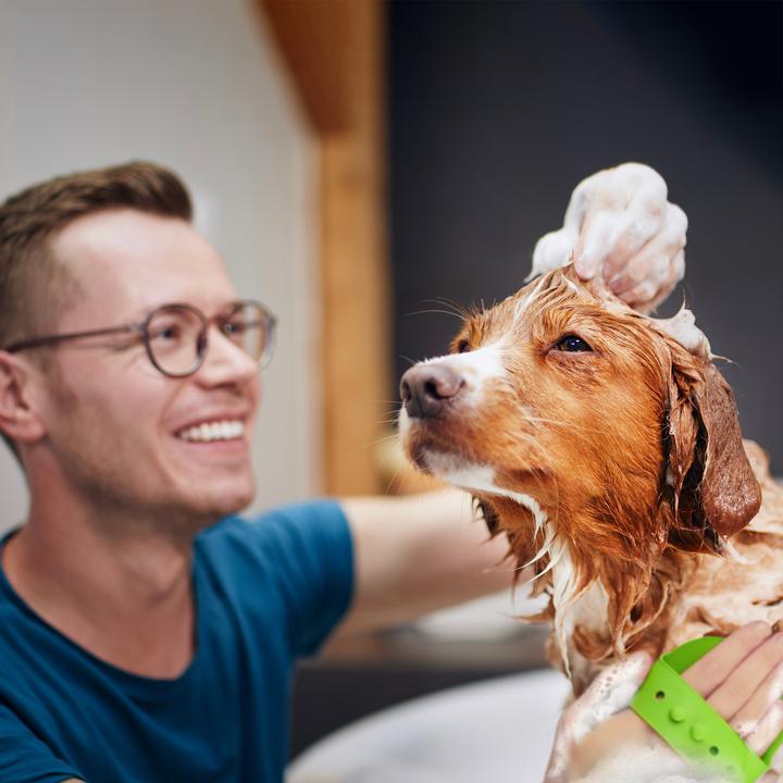 Actual product image Relaxdays 3x Dog Massage Brush (Dog, Cat)