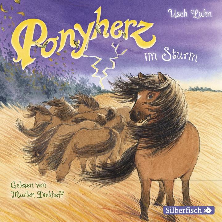 Produktbild Ponyherz im Sturm (Usch Luhn, Deutsch)