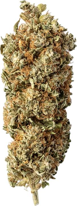 Produktbild Green Passion Passion CBG (5 g, Indoor)