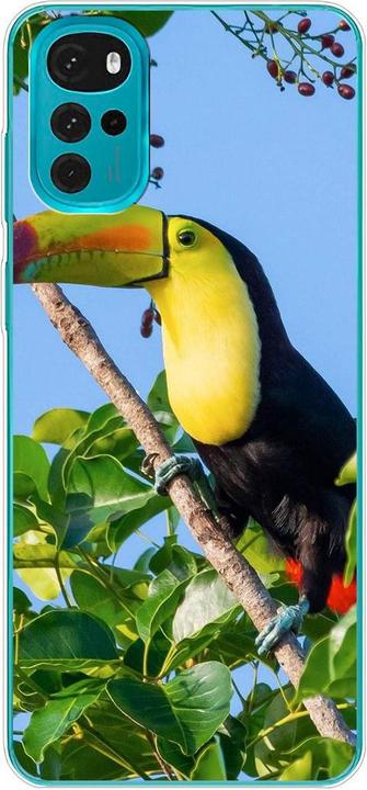 Tucan
