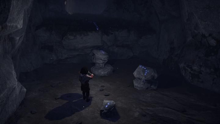Actual product image Plug In Digital Skabma - Snowfall (PS5, DE)
