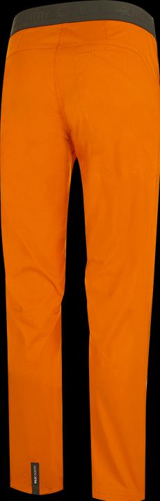 Actual product image Wild Country Session (L)