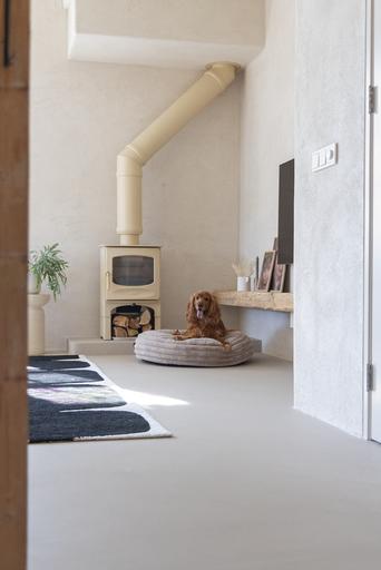 Actual product image Designed by Lotte Reza reclining cushion (Dog)