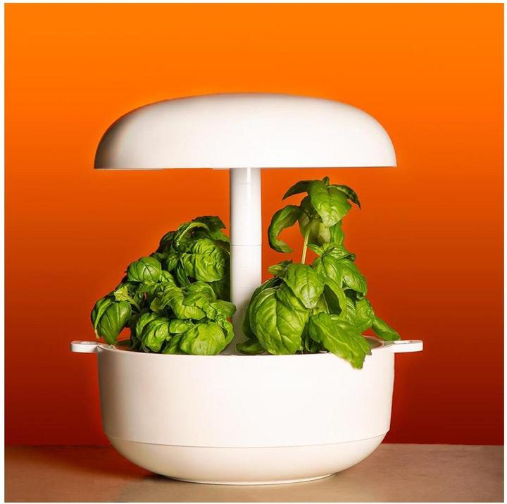 Immagine prodotto Plantui Basilico (Semi di erbe)