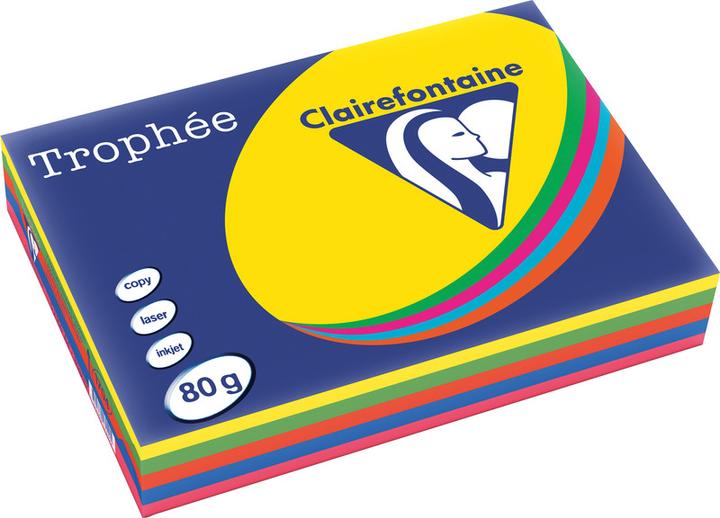Produktbild Clairefontaine Universalpapier, farbig (120 g/m², 250 x, A4)