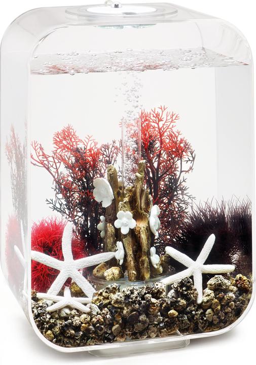 Actual product image Oase biOrb Aquarium 15 Decor Set (Embellishment, other items)