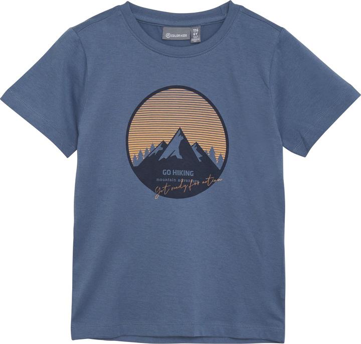 Vintage Indigo