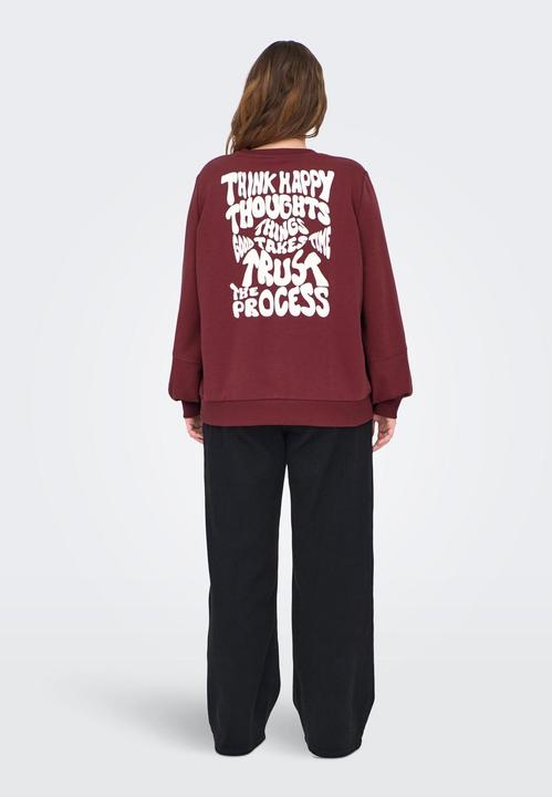 Produktbild Only CARKAVIRA Sweatshirt Sweatshirt (L)