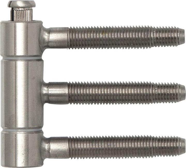 Produktbild SFS Einbohrband (Steckband) 3-teilig, ø 18mm Höhe 61 mm Türband, Edelstahl