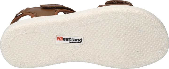 Actual product image Westland 25401-410 (39)