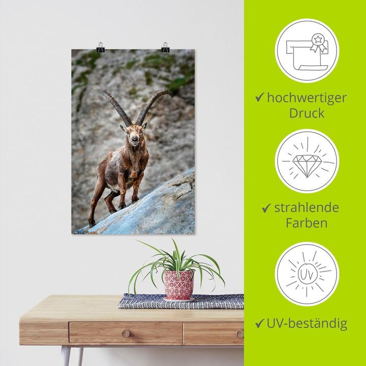 Actual product image Artland Ibex with large horns U3VG (40 x 60 cm)