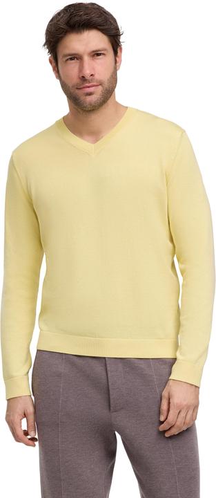 Falke FAV Cotton V-Neck m