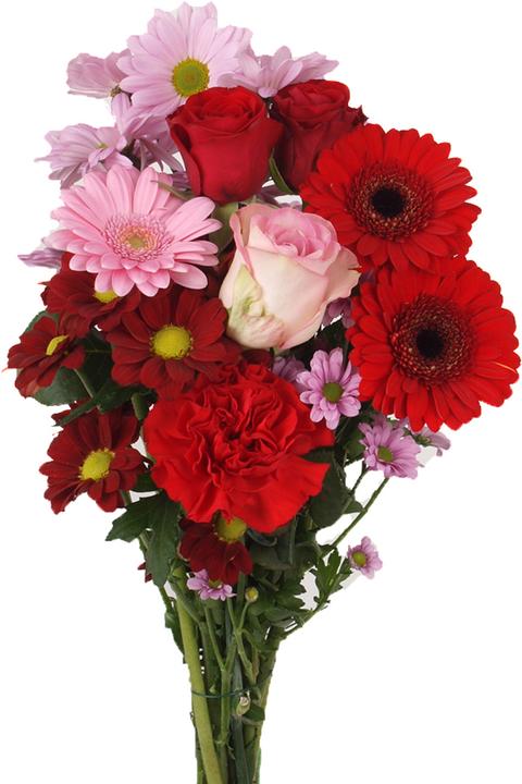 Image du produit Floramall Happy Day rose-rouge (Fleurs coupées)