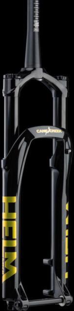 Cane Creek Gold Brushed Metalic