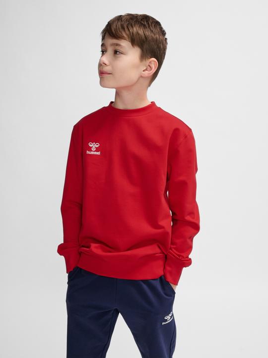 Actual product image hummel Hmlgo 2.0 Sweatshirt Kids (128)