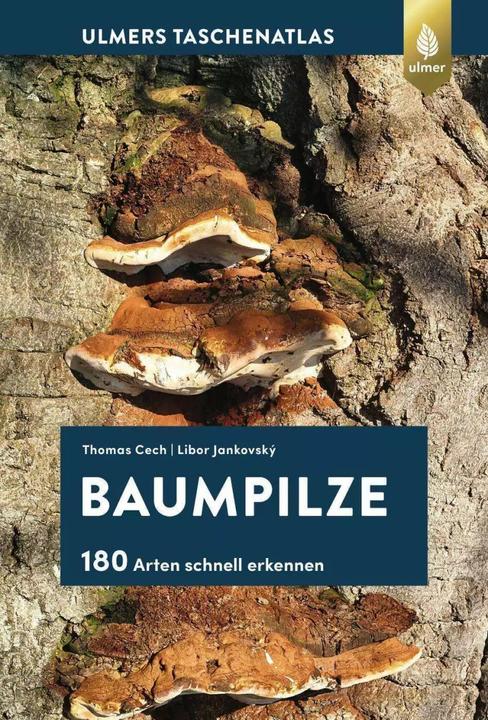 Actual product image Baumpilze (German, Thomas L. Cech, Libor Jankovský, 2022)