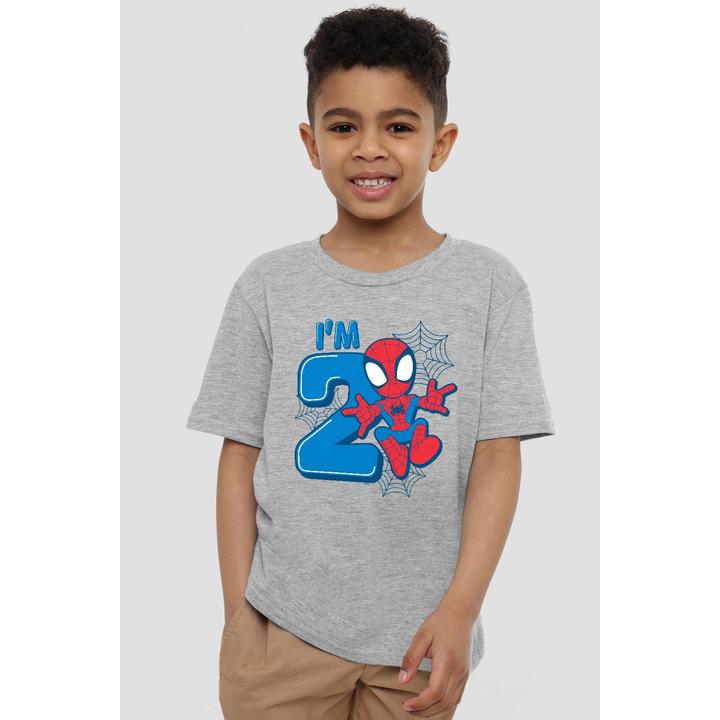 Actual product image Spiderman Childrens/Kids Cute Spidey 2nd Birthday T-Shirt (116)