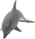 Actual product image Schleich Dolphin
