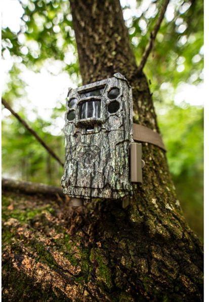Produktbild Bushnell Core DS No Glow