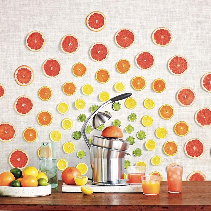 Actual product image Sage The Citrus Press Pro