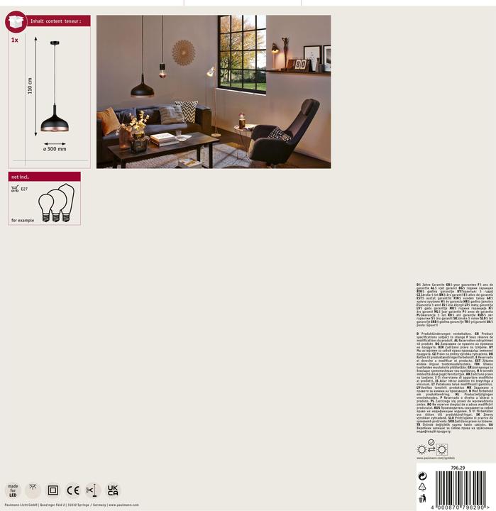 Actual product image Paulmann Neordic Embla (E27)